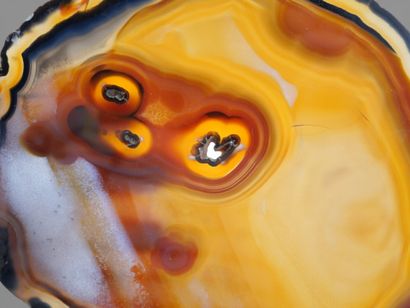 Polished agate slice.
Dimensions: 19.5 x...