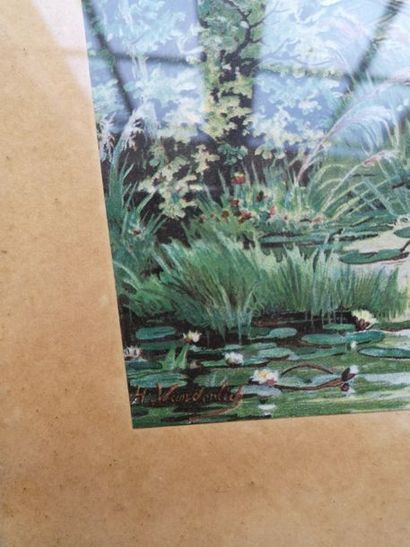 School XIXth 

River bank at the thatched...