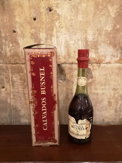 1 flacon 70cl CALVADOS BUSNEL V.S.O.P. Etui....
