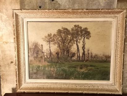 P. SAIN (1853-1908) Vache dans un pré, huile...