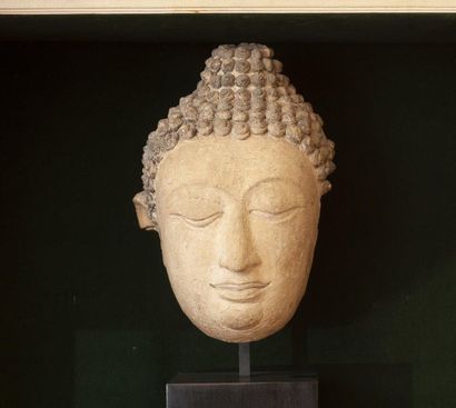 Tête de Bouddha en stuc, la chevelure teintée...
