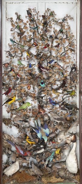 Vitrine en placage d’acajou ouvrant par une...