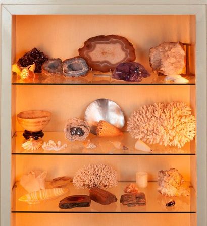 Mineralogical and conchyological collect...