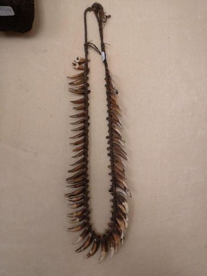 ASMAT, Irian Jaya, Indonésie

Collier de...