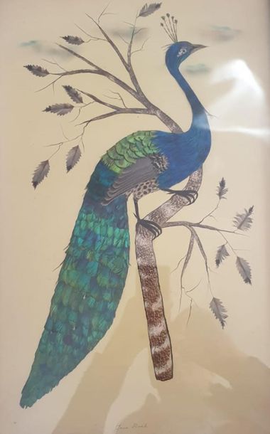 Panneau en plume de paon, 47 x 29