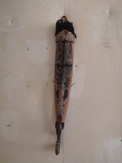 Ensemble d’objets ethnographiques Asmat collecté...