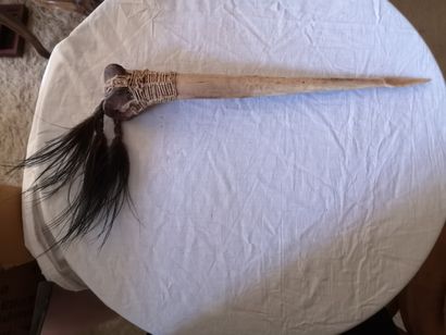 Ensemble d’objets ethnographiques Asmat collecté...