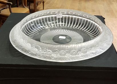 LALIQUE FRANCE

Coupe circulaire «marguerite»...