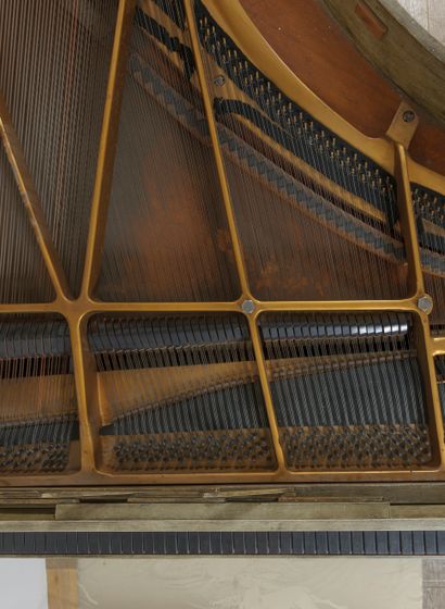 KRIEGELSTEIN

Grand piano in the form of...