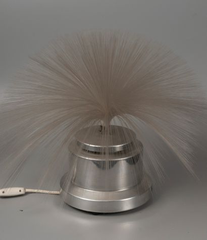 Work from the 70's

Fiber optic lamp

H:...