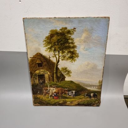 School of the 19th century.

Cows.

Canvas.

41...