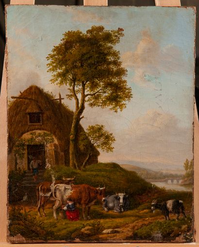 School of the 19th century.

Cows.

Canvas.

41...