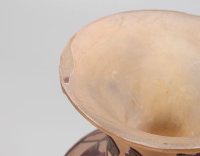 GALLÉ ESTABLISHMENT.

1904 - 1906.

Vase...