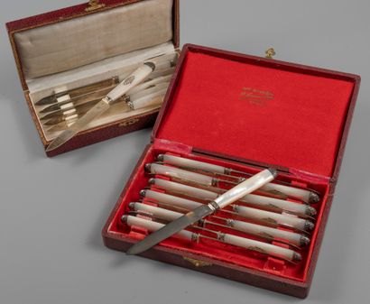 Suite of 18 fruit knives, mother-of-pearl...