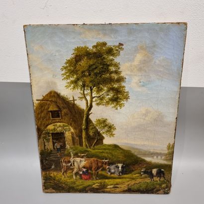 School of the 19th century.

Cows.

Canvas.

41...