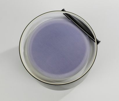 ENZO MARI (1932-2020)
Pot à glace Antille,...