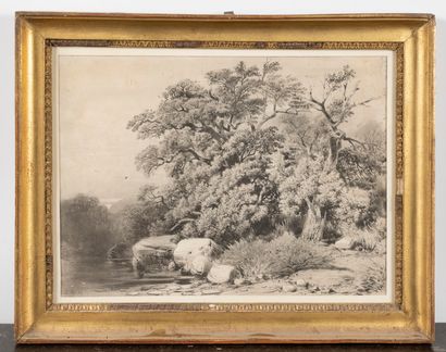 Ecole Française du XIXe siècle

Arbres et...