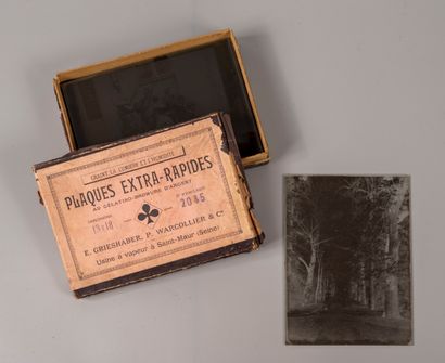 Strong batch of photographic plates