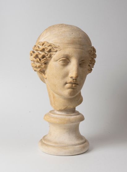 From the antique

Head of a woman

Plaster

H...