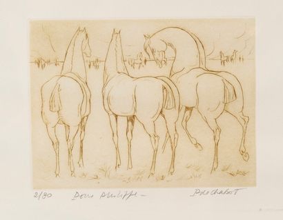 Paul de CHABOT, né en 1932

Etude de cheveaux

Eau...