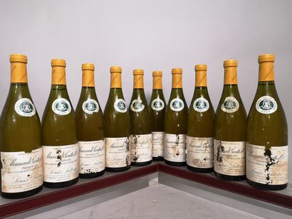10 bouteilles MEURSAULT 1er cru 