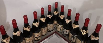12 bouteilles NUITS St. GEORGES 1er cru Les...