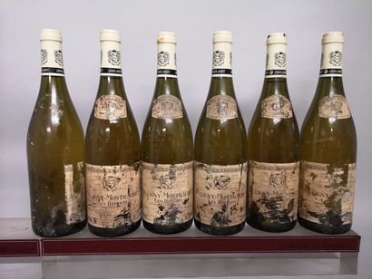 6 bouteilles PULIGNY MONTRACHET 1er cru 