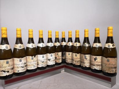 12 bouteilles PULIGNY MONTRACHET 1er cru...