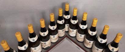 12 bouteilles MEURSAULT 1er cru 