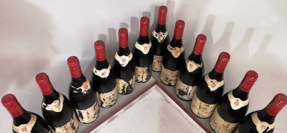 12 bouteilles NUITS St. GEORGES 1er cru Les...