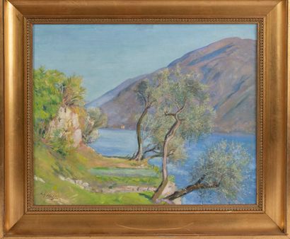 Ecole suisse . Xxeme siècle Paysage au lac
Huile...