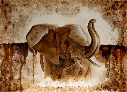 Anaibar TIDA
technique mixte, peinture au...