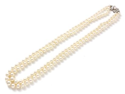 Collier composé de 2 chutes de perles de...