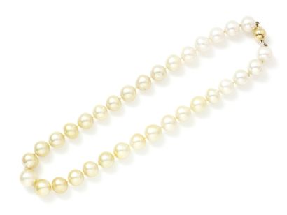 Collier composé d'un rang de perles de culture...