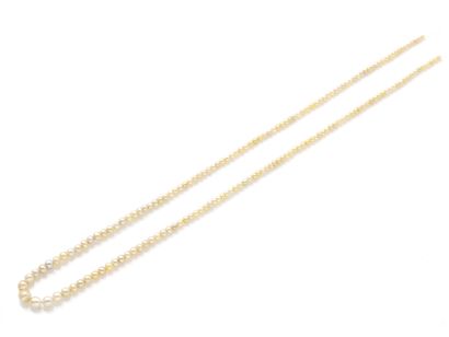 Collier composé d'une chute de perles fines...