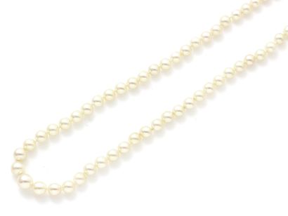 Collier composé d'une légère chute de perles...