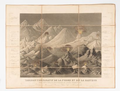 BRUGUIÈRE (Louis).
Comparative table of the...