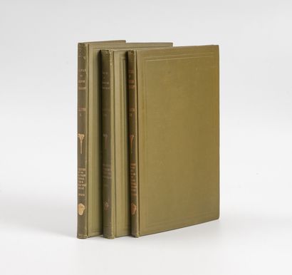 FEWKES (Jesse Walter).
Antiquities of the...