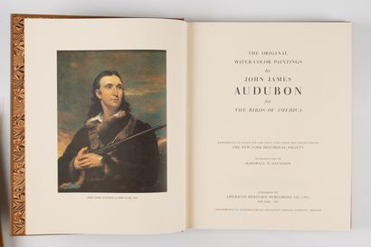 AUDUBON (John-James).
The original watercolor...