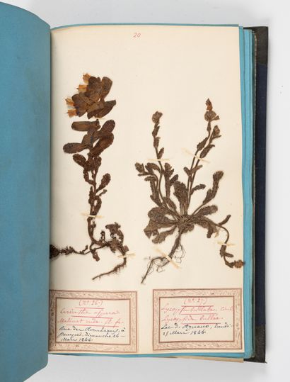 HERBIER. - LAREVELLIERE (Victorin). 
Botanical...