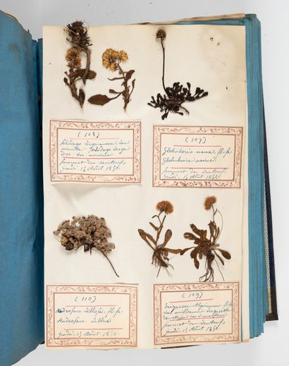 HERBIER. - LAREVELLIERE (Victorin). 
Journey...