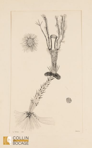 J Albertini
Pain, 1957
Lithograph (a series...