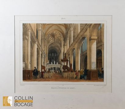 19th century school
bindweed
watercolor,...
