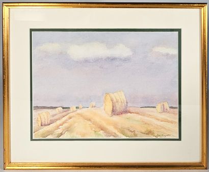 MONIQUE PREVOT
 Harvest, Haute Marne
40 x48...