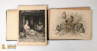 An album of drawings signed Bodard, pencils...