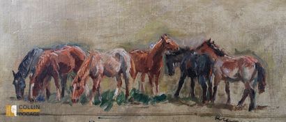 Modern School 
- The horses 
- Cows 
Panels...