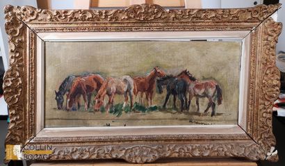 Modern School 
- The horses 
- Cows 
Panels...