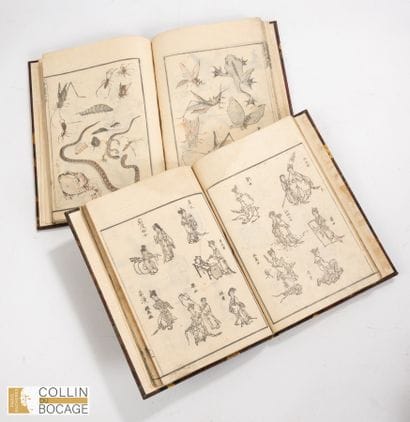 Katsushika Hokusaï (1760-1849)
HokusaI Manga,...