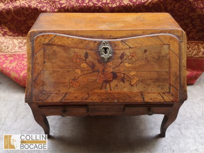 Meuble de maitrise
Secretaire de pente, bois...