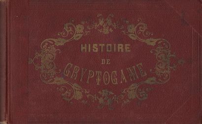 TOPFFER : Docteur Festus/Histoire de Mr Crepin/Histoire...